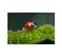 Wooden Jigsaw Puzzle 1000 Pieces WZYWHJ Seven-Starred Ladybird Printed for Adults and Kids, Perfect for Family Fun, Stress Relief