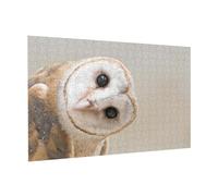Wooden Jigsaw Puzzle 300-Piece in Box, Funny Owl Prints Eco-Friendly Educational Puzzle for Family Fun & Adult Relaxation, 38x26 CM