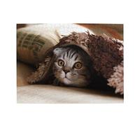 Wooden Jigsaw Puzzle 500-Piece in Box, Cat Under Blanket Prints Eco-Friendly Educational Puzzle for Family Fun & Adult Relaxation, 52x38 CM