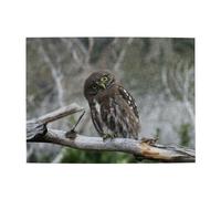 Wooden Jigsaw Puzzle 500-Piece in Box, Wild Owl Birds Prints Eco-Friendly Educational Puzzle for Family Fun & Adult Relaxation, 52x38 CM