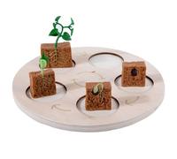 Wooden Life Growth Cycle Toy Animal/Plant Figurine Matching Toy Tangram For Kids Early Learning & Education Party Supply