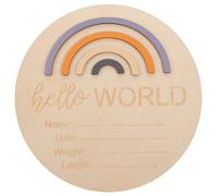 Wooden Months Baby Sign Rainbow Milestone Photo Prop