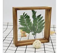 Wooden Picture Frames 3D Photo Frame Plant Specimen Double-sided Plexiglass A4（21*29.7cm） Retro