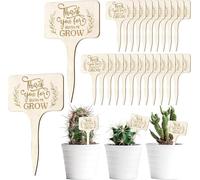 Wooden Plant Labels,Thank You for Helping Me Grow T-Type Pointed Wooden Plant Stakes 30PCS Marker Tags Decorative Garden Supplies for Teacher Appreciation Gift Thanksgiving (30PCS)