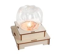 Wooden Pumpkin Night Light Craft Set Hands on Assembly Learning Toy for Classroom Teaching Science Education Creative Wooden Pumpkin Lamp Set