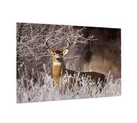 Wooden Puzzle 1000 Piece 75x50 CM, Free Whitetail Deer Printed Cute Puzzle Game in Plastic Box for Family Entertainment and Brain Training Gifts