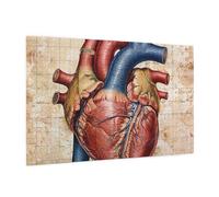 Wooden Puzzle 1000 Piece 75x50 CM, Human Anatomy Heart Chart Printed Cute Puzzle Game in Plastic Box for Family Entertainment and Brain Training Gifts