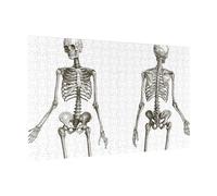 Wooden Puzzle 300 Piece 38x26 CM, Human Skeleton Printed Cute Puzzle Game in Plastic Box for Family Entertainment and Brain Training Gifts