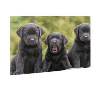 Wooden Puzzle 500 Piece 52x38 CM, Labrador Retriever Dog Printed Cute Puzzle Game in Plastic Box for Family Entertainment and Brain Training Gifts