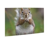 Wooden Puzzle 500 Piece 52x38 CM, Red Squirrel Printed Cute Puzzle Game in Plastic Box for Family Entertainment and Brain Training Gifts