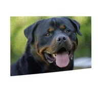 Wooden Puzzle 500 Piece 52x38 CM, rottweiler wallpaper Printed Cute Puzzle Game in Plastic Box for Family Entertainment and Brain Training Gifts