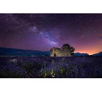 Wooden Puzzle for Adults and Kids, 500 Piece Jigsaw Puzzle, Field, Tree, The Milky Way, Lavender 52x38CM