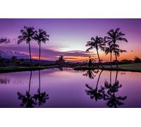 wooden puzzles for adults 1000 pieces,natural beauty,sunset,tropical,puerto rico 38x26CM