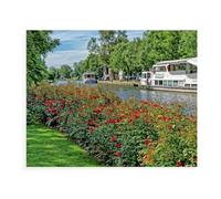 Wooden Puzzles for Adults，Sailing with the White Fleet on the Ruhr River，Irregular Creative Gift for Family Game,Christmas Birthday Gifts Home Decor（75x50cm）-BF14