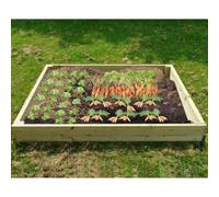 Wooden Raised Veg Bed - 2M X 1M