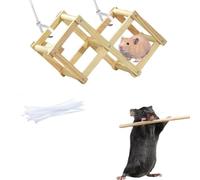 Wooden Rat Climbing Toys, Hamster Cage Accessories Climbing Ladder, Fancy Rats Enrichment Toys Activities, Eye-catching Foldable Toy Chewing Exercising (Medium)