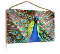 Wooden Signcute Peacock With Vibrant Feathers Displaying Wooden Sign Bathroom Funny Decor Restroom Decor(20X30CM)