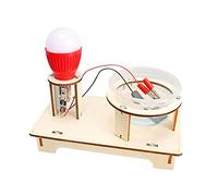 Wooden Stem Models Building Toys Building Project for Teens Children Kids Type M
