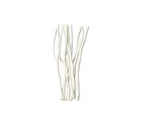 Wooden Sticks Macrame Dowel, Wooden Dowel Rods Dragon Willow Wood 20-30cm White Pack of 10 for DIY Crafts and Art(30cm)