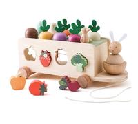 WOODEN TEETHER Montessori Wooden Toy for Toddlers 1 2 3, Shape Sorting & Matching Carrot Harvesting Toys - Fine Motor Skills Toys for Boys Girls Birthday Gifts for Kids