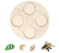 Wooden Tray Life Cycle Kit for Kids Fun Learning Tool for Home Preschoolers and Preschoolers,Educational School Project (Generic6d20w5vzgq-10339683)