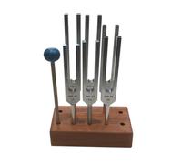 Wooden Tuning Fork Holder- 10 Hole Storage Block