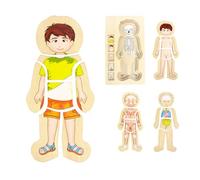 WOODENFUN Human Body Puzzles for Kids 3-5,Wooden Montessori Anatomy Play Set, Human Body Model Puzzle for Preschoolers and Kids Ages 3+ (Boys)