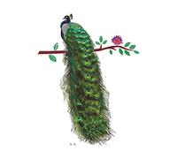 Woodland 23 inches x 30 inches Nature Series Flower Peacock Garden Vinyl Removable DIY Wall Art Mural Sticker Decor Decal Bedroom Office Sitting Living Room Hallway Kitchen Glass Door Window Nursery