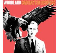 Woodland Bad Days in Disguise (Vinyl)
