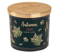 Woodland Essence Scented Candle | Luxury Soy Wax Candle with Gold Embossed Lid | Long Lasting Burn, Home Fragrance, Decorative Jar Candle - Ivy Candle