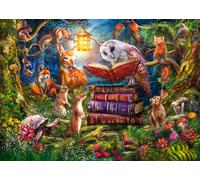 Woodland Evening Tales