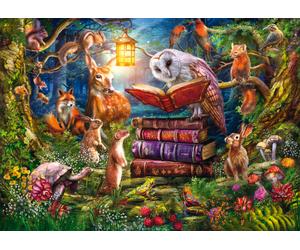 Woodland Evening Tales