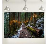 Woodland Fairy Lights Backdrop, Enchanted Forest Photography Background, Rustic Party Decor, Indoor/Outdoor Event Decorations, Winter Seasonal Theme 71x43 Inch