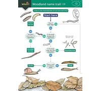 Woodland name trail 1994: A key to the invertebrates of soil and leaf litter