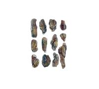 WOODLAND SCENICS C1246 Rock Mold Creek Bed Rocks (US IMPORT)