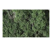 Woodland Scenics: Dark Green Fine Leaf Foliage