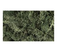 Woodland Scenics: Dark Green Lichen