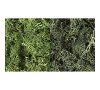 Woodland Scenics: Dark Green Mix Lichen