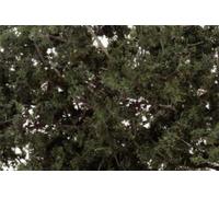 Fine Leaf Foliage
