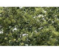Woodland Scenics Fine Leaf Tree Scenery Foliage N, OO, HO, O Gauge Choose From 6