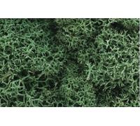 Woodland Scenics L162 Lichen - Light Green New
