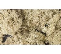 Natural Lichen for model sceneries - Woodland scenics WL166