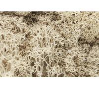 Natural Lichen for model sceneries - Woodland scenics WL166