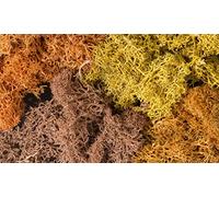 Woodland Scenics: Autumn Mix Lichen