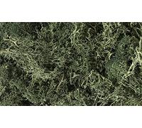 Woodland Scenics: Dark Green Lichen
