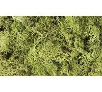 Woodland Scenics Lichen Light Green