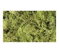 Woodland Scenics: Light Green Lichen