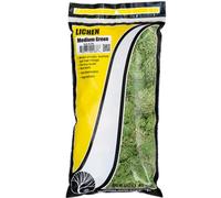 Woodland Scenics Foliage Lichen 1.5 qt-Medium Green