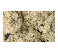 Woodland Scenics: Natural Lichen