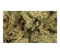 Woodland Scenics Lichen, Spring Green WOOL161 by Woodland Scenics